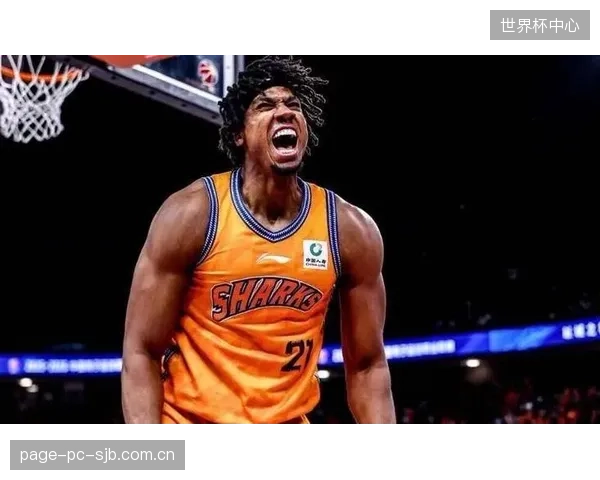 前NBA盖帽王怀特塞德镇守上海内线，荣获CBA最佳防守球员。