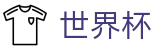 网上买球赛 · 世界杯彩票在线买球购彩平台